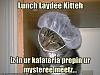 funny-pictures-cat-prepares-your-lunch.jpg