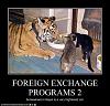 funny-pictures-foreign-exchange-programs.jpg