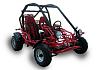 Xingyue Buggy 260  _Buggy260_front_r.jpg