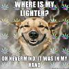 Stoner-Dog-WHERE-IS-MY-LIGHTER-OH-NEVERMIND-IT-WAS-IN-MY-HAND.jpg