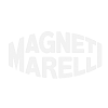 magneti-w.png