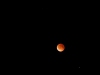 100_2769.jpg