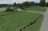grass8_6.jpg