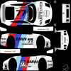 FZR_BMW team fr.jpg