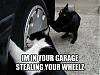 stealing_your_wheelz.jpg