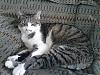 DSC00577.JPG