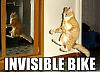 invisible bike.jpg
