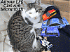 Untitled-55.gif