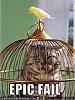 funny-pictures-bird-cat-cage.jpg