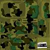 XRT_CAMO.jpg