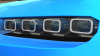 bug13.jpg