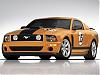 Saleen-Ford_Mustang_302_Parnelli_Jones_2006_1600x1200_wallpaper_01.jpg