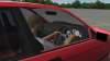 lfs_00000203.jpg