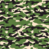 E49881_CAMO 1.jpg