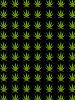 weedypaper.jpg