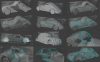 zetka_progress_01.jpg