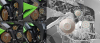 blender_vuPSFNBwGJ.jpg