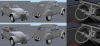 duckling_progress_12.jpg