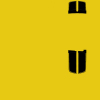 A11C8B_Yellow&Black.jpg