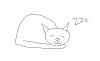 sleeping_cat.jpg