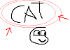 cat.PNG