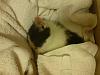 DSC00189.JPG