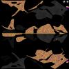 5D0981_Bimmero.jpg