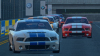unknown_20262.jpg