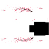 D63512_sakura.jpg