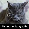 ist2_7008233-angry-cat.jpg