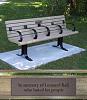 Anti_Fat_People_Bench.jpg