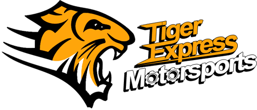 tem_logo.png