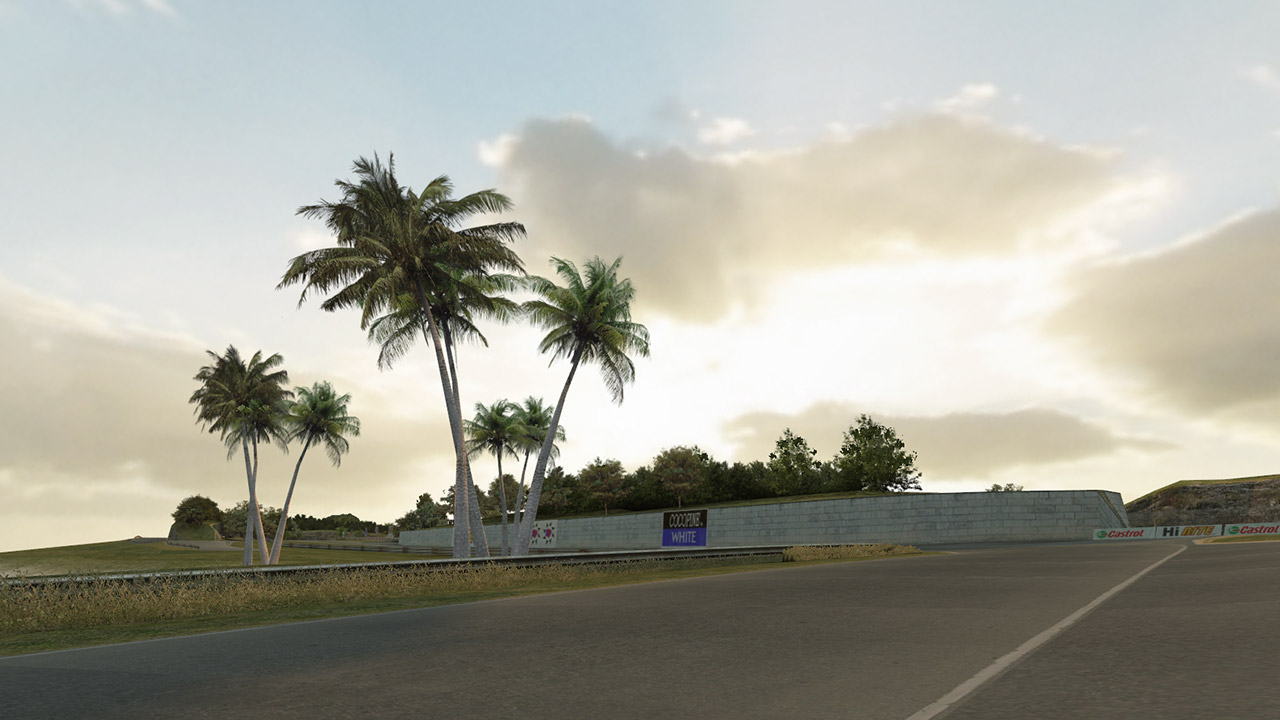 fern_bay_trees_and_sun.jpg